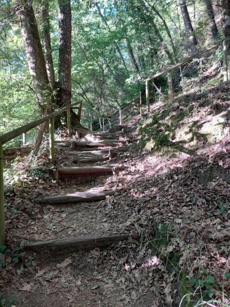 O Recuncho Da Isa - Ribeira Sacra Villa Pereiro de Aguiar Екстериор снимка